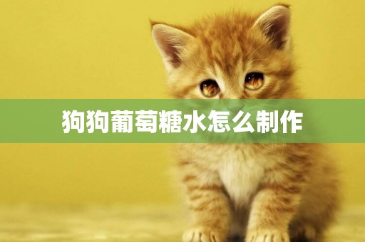 狗狗葡萄糖水怎么制作
