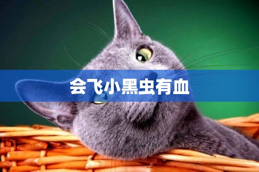 會飛小黑蟲有血