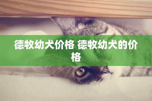 德牧幼犬價格 德牧幼犬的價格