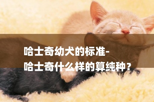 哈士奇幼犬的標準-
哈士奇什么樣的算純種？
