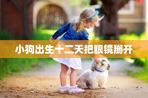 小狗出生十二天把眼鏡掰開