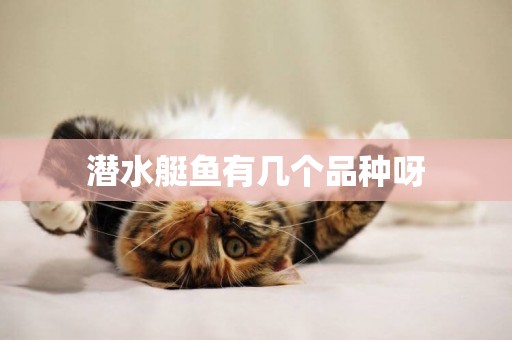 潛水艇魚有幾個品種呀