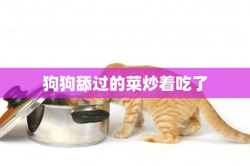 狗狗舔過的菜炒著吃了