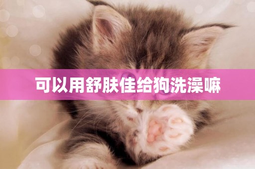 可以用舒膚佳給狗洗澡嘛