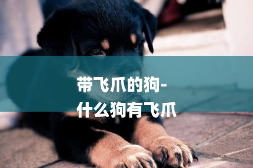 帶飛爪的狗-
什么狗有飛爪