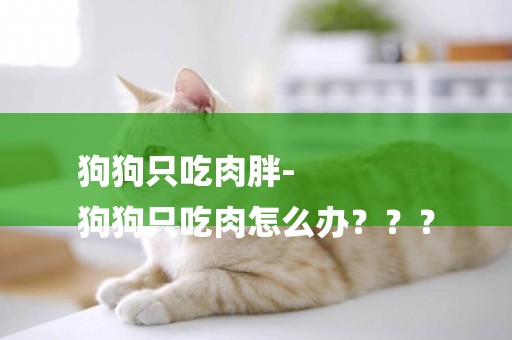 狗狗只吃肉胖-
狗狗只吃肉怎么辦？？？