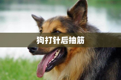 狗打針后抽筋