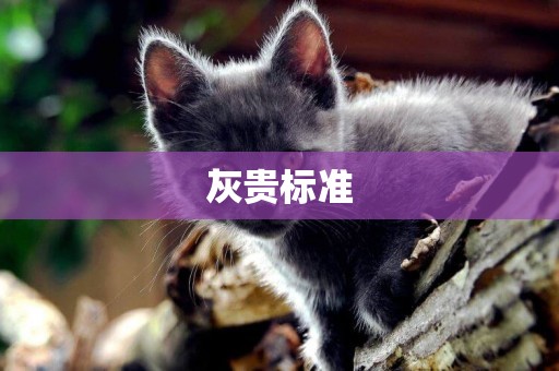 灰貴標準