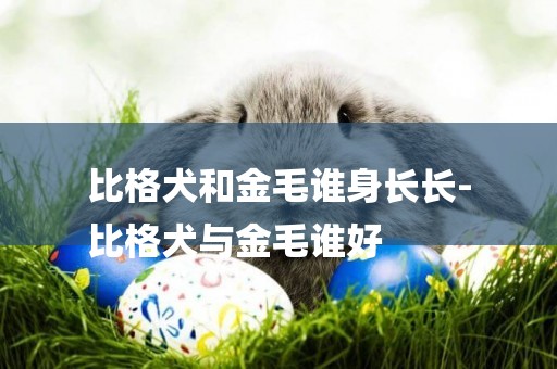 比格犬和金毛誰身長長-
比格犬與金毛誰好