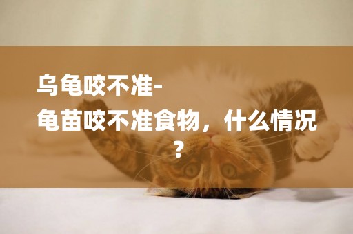 烏龜咬不準-
龜苗咬不準食物，什么情況？