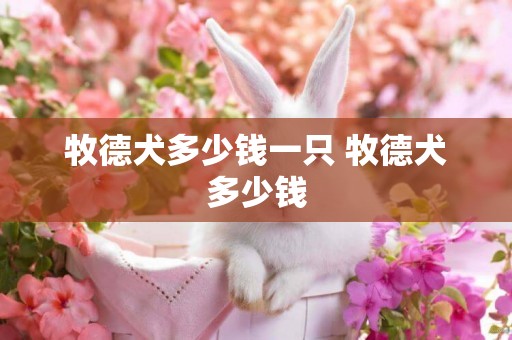 牧德犬多少錢一只 牧德犬多少錢