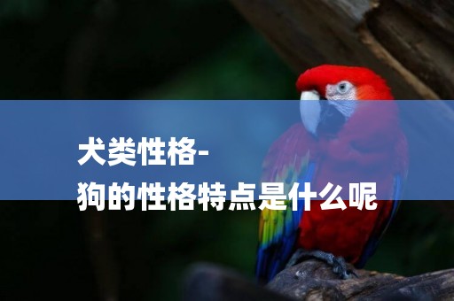 犬類性格-
狗的性格特點是什么呢