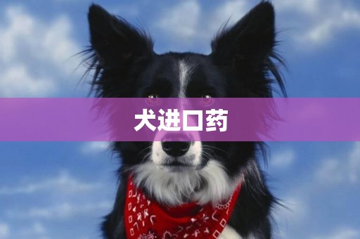 犬進口藥