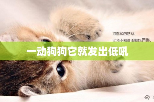 一動狗狗它就發出低吼