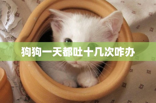 狗狗一天都吐十幾次咋辦