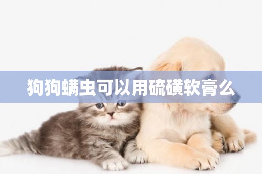 狗狗螨蟲可以用硫磺軟膏么