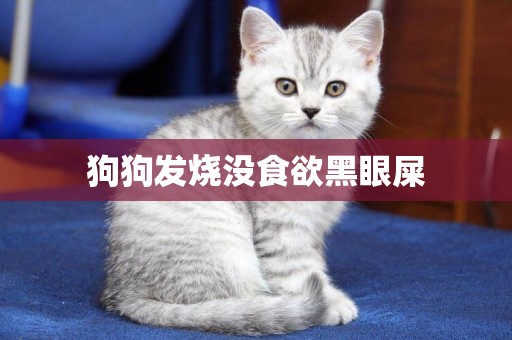 狗狗發燒沒食欲黑眼屎