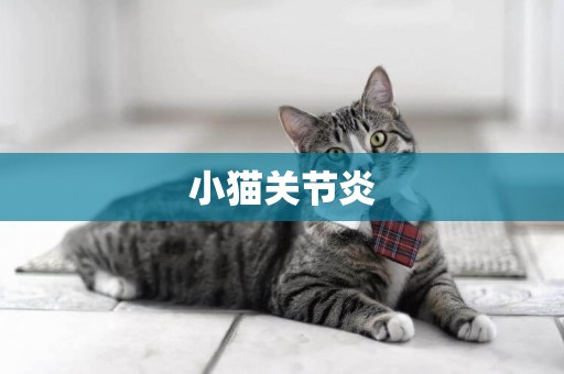 小貓關節炎