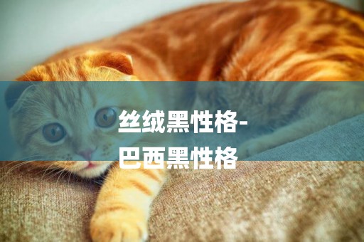絲絨黑性格-
巴西黑性格