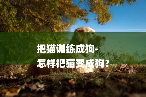 把貓訓練成狗-
怎樣把貓變成狗？