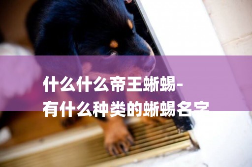 什么什么帝王蜥蜴-
有什么種類的蜥蜴名字