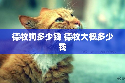 德牧狗多少錢 德牧大概多少錢