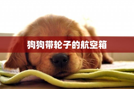 狗狗帶輪子的航空箱