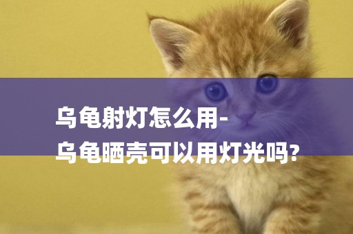 烏龜射燈怎么用-
烏龜曬殼可以用燈光嗎?