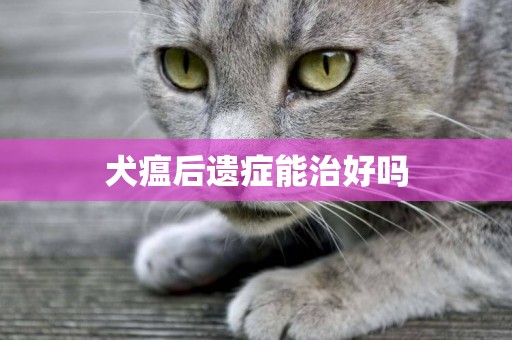 犬瘟后遺癥能治好嗎