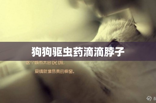 狗狗驅蟲藥滴滴脖子