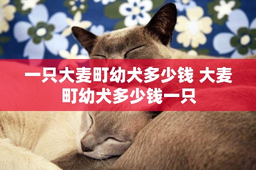 一只大麥町幼犬多少錢 大麥町幼犬多少錢一只