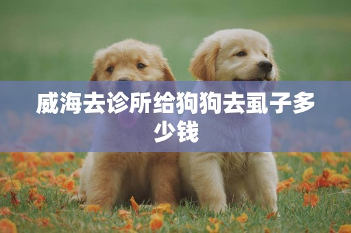 威海去診所給狗狗去虱子多少錢