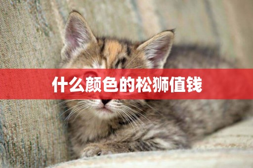 什么顏色的松獅值錢