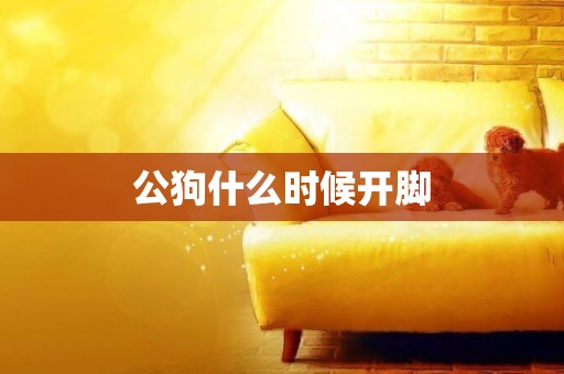公狗什么時候開腳