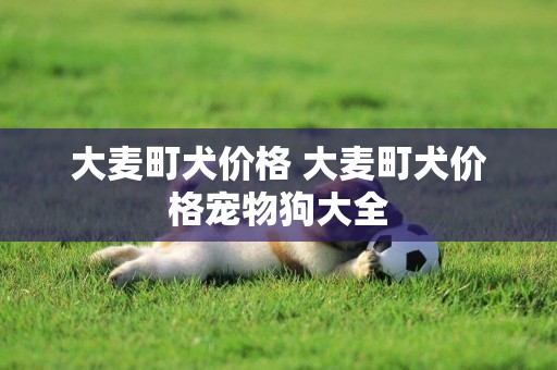 大麥町犬價格 大麥町犬價格寵物狗大全