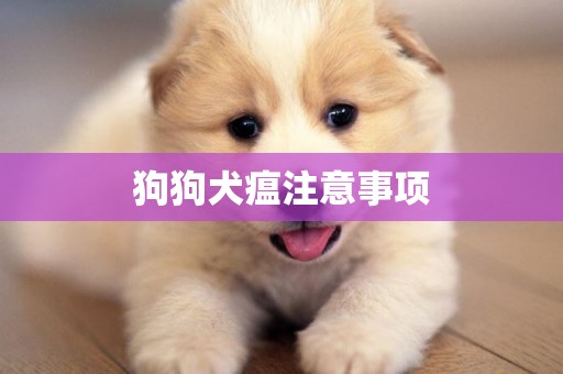 狗狗犬瘟注意事項