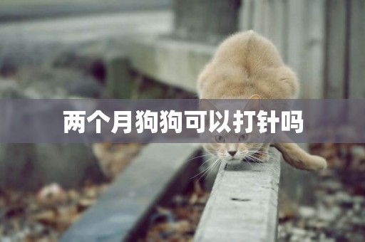 兩個月狗狗可以打針嗎