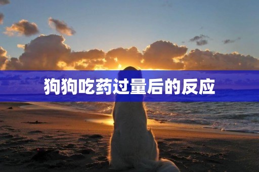 狗狗吃藥過量后的反應