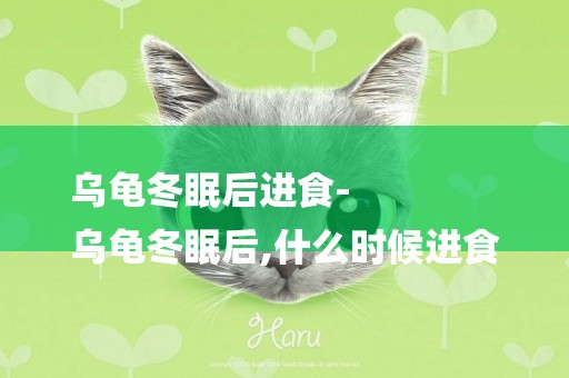 烏龜冬眠后進食-
烏龜冬眠后,什么時候進食