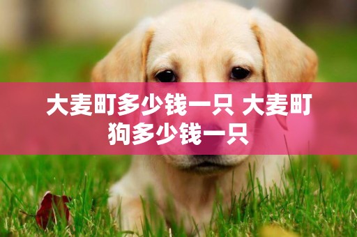 大麥町多少錢一只 大麥町狗多少錢一只