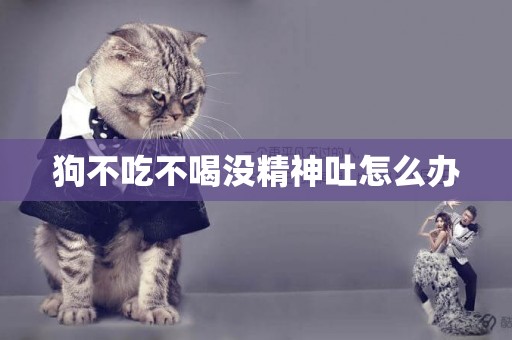 狗不吃不喝沒精神吐怎么辦