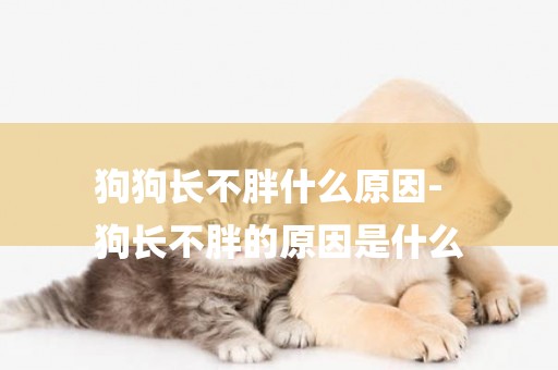 狗狗長不胖什么原因-
狗長不胖的原因是什么