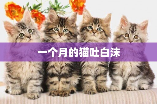 一個月的貓吐白沫