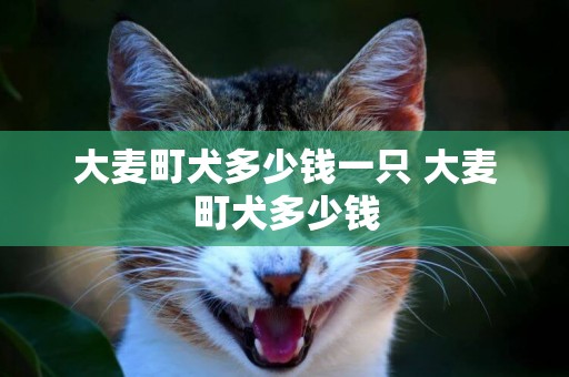 大麥町犬多少錢一只 大麥町犬多少錢