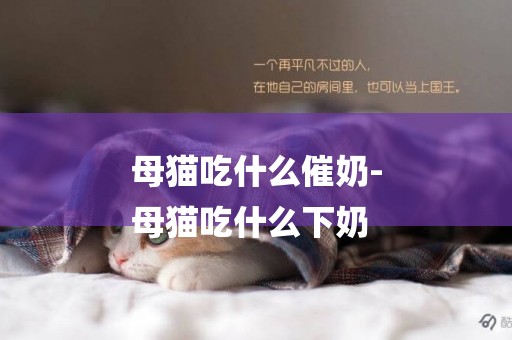 母貓吃什么催奶-
母貓吃什么下奶