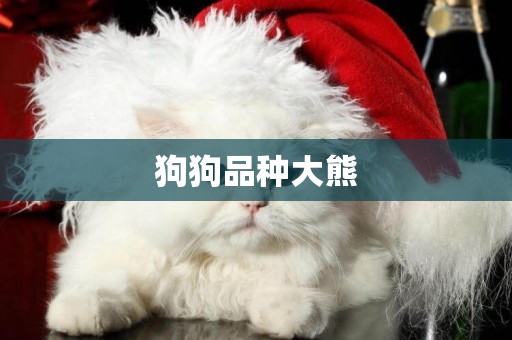 狗狗品種大熊
