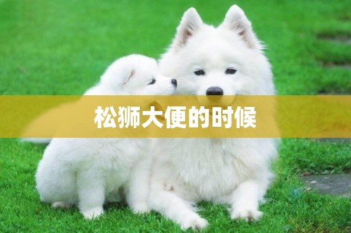 松獅大便的時候