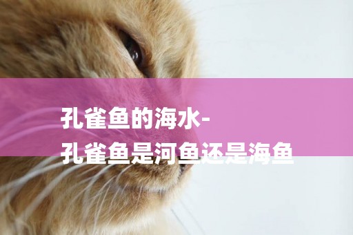 孔雀魚的海水-
孔雀魚是河魚還是海魚