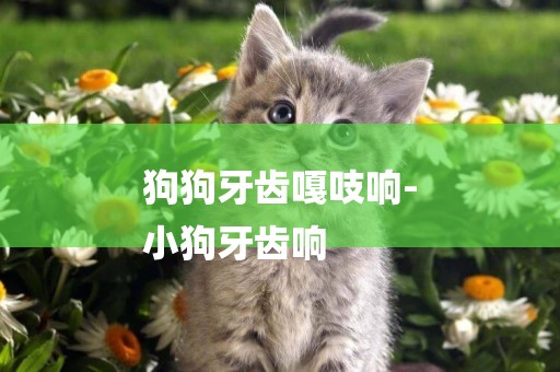狗狗牙齒嘎吱響-
小狗牙齒響