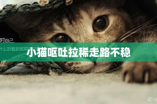 小貓嘔吐拉稀走路不穩